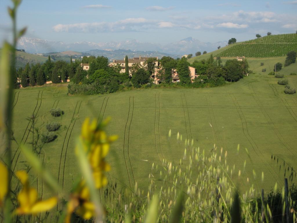 Villa Agriturismo La Campana Montefiore dellʼAso Exterior foto