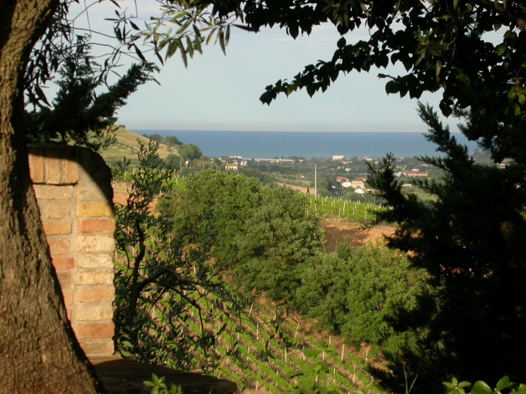 Villa Agriturismo La Campana Montefiore dellʼAso Exterior foto